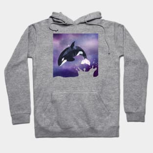 Orca Hoodie